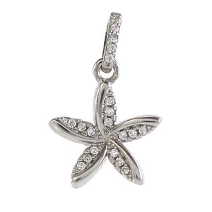 آویز گردنبند نقره زنانه کد 17970