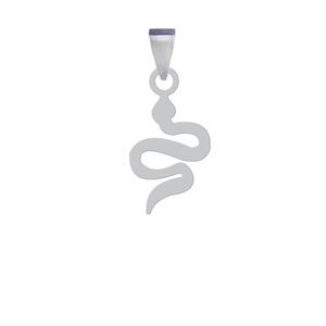 آویز گردنبند نقره هایکا مدل مار کد anh 62