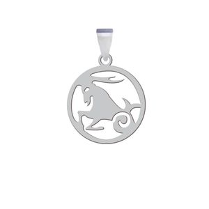 آویز گردنبند نقره هایکا مدل ماه تولد دی کد ha 13