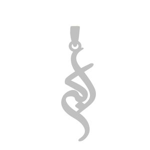 آویز گردنبند نقره گالری طلا و جواهر اپال مدل اسم اکبر