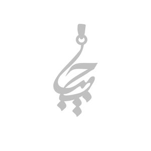 آویز گردنبند نقره گالری طلا و جواهر اپال مدل اسم حبیب