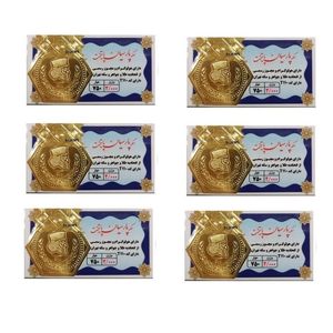 طلا گرمی 18 عیار گالری طلای نجفپور مدل p 12  بسته شش عددی