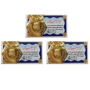 طلا گرمی 18 عیار گالری طلای نجفپور مدل p3.600 g بسته سه عددی