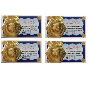 طلا گرمی 18 عیار گالری طلای نجفپور مدل p4 g بسته 4 عددی