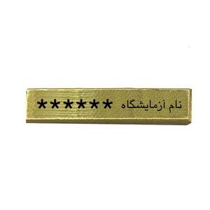 طلای آب شده مدل 100g نیک کوین عیار 750   crd