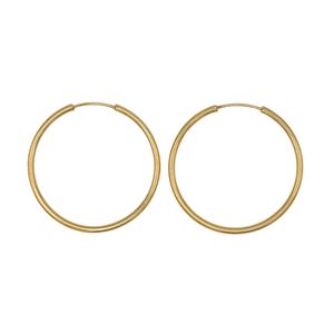 گوشواره حلقه ای طلا 18 عیار زنانه صلاحی گلد مدل 10256o