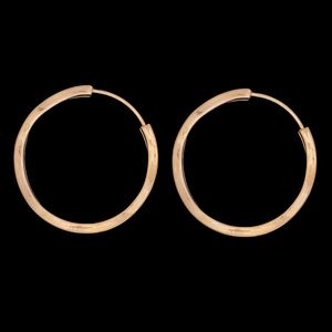 گوشواره حلقه‌ای طلا کم اجرت  18 عیار زنانه ناریا مدل m30 l