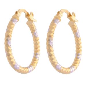گوشواره طلا 18 عیار زنانه طلای مستجابی مدل حلقه ای تراش کد 14