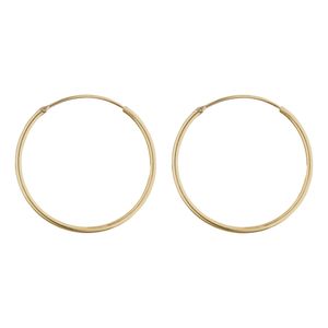 گوشواره طلا 18 عیار زنانه گنجینه هنر خوش نشین مدل حلقه ای gs33