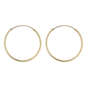 گوشواره طلا 18 عیار زنانه گنجینه هنر خوش نشین مدل حلقه ای کد gs38