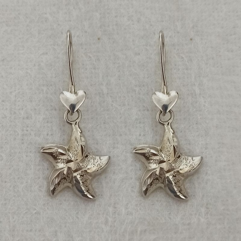 گوشواره نقره زنانه سلین کالا مدل ce ear9